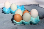 Concrete Egg Holder | Duck Egg Blue Kitchen Décor