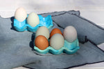 Concrete Egg Holder | Duck Egg Blue Kitchen Décor